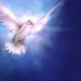 clip_image0043